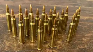 204 Ruger vs 223 cartridges side by side